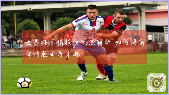 世界杯竞猜投注玩法解析 如何提高你的胜率与乐趣