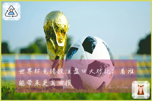 世界杯竞猜投注盘口大对比：看谁能带来更高回报
