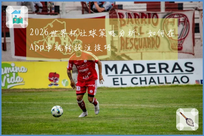 2026世界杯让球策略分析，如何在App中玩转投注技巧