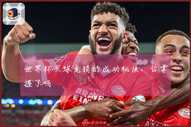 世界杯买球竞猜的成功秘诀，你掌握了吗