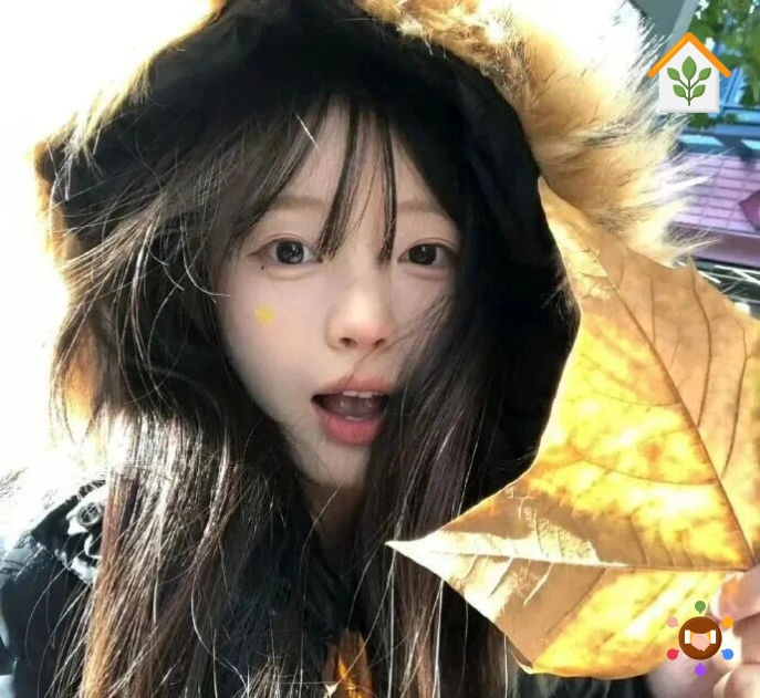 用户头像